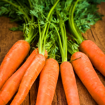 Picture of Carrots 500 gm