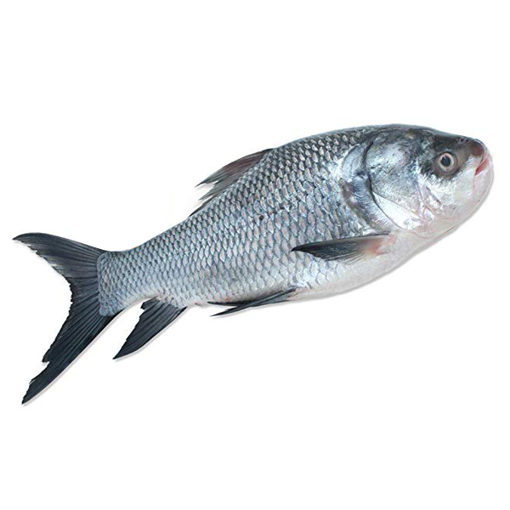 Picture of Katal Fish 1 kg