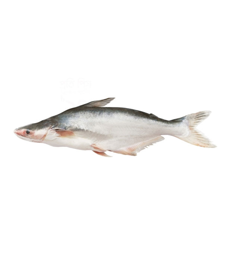 Picture of Pangas Fish 1 kg