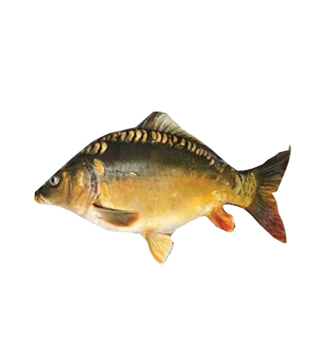 Picture of Karfu Fish 1 kg