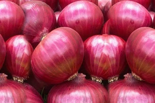 Picture of Onion (Imported) 1 kg