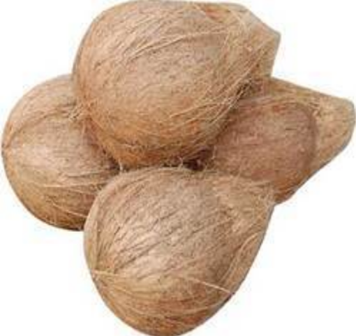 Picture of Coconut (Semi Husked) 1 Pcs