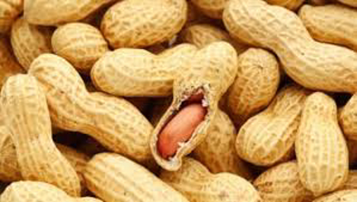 Picture of Peanuts with shell 250 gm